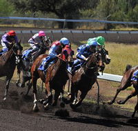 Alice Springs Turf Club - Accommodation Rockhampton