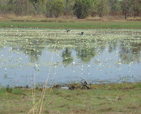 Leaning Tree Lagoon Nature Park - Accommodation Rockhampton 0