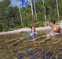 Tjaynera/Sandy Creek Falls - Accommodation Rockhampton