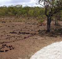 Wurrwurrwuy Garanhan Macassan Beach Interpretive Walk - Accommodation Rockhampton