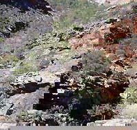 Serpentine Chalet Bush Camping Area - Accommodation Rockhampton