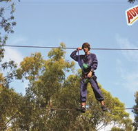 Adventure Parc at Currumbin Wildlife Sanctuary - Accommodation Rockhampton