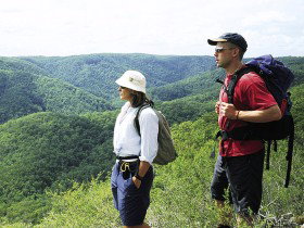 Sunshine Coast Hinterland Great! Walk - Accommodation Rockhampton 0