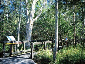 Noosa Heads QLD Accommodation Rockhampton