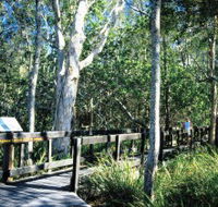 Kinaba Track - Accommodation Rockhampton