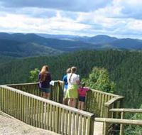 Kenilworth Forest Reserve - Accommodation Rockhampton