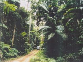 Conondale Great Walk - Accommodation Rockhampton 0