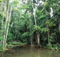 Mount Allan Trail - Accommodation Rockhampton