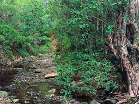Mudlo National Park - Accommodation Rockhampton 0