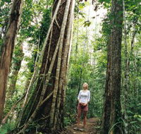 Wet Tropics - Accommodation Rockhampton