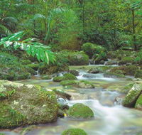 Mossman Gorge Daintree National Park - Accommodation Rockhampton