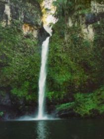 Nandroya Falls Circuit Track, Wooroonooran National Park - Accommodation Rockhampton 0