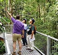 Daintree Discovery Centre - Accommodation Rockhampton