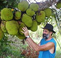 Cape Trib Exotic Fruit Farm - Accommodation Rockhampton