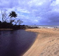 Russell River National Park - Accommodation Rockhampton