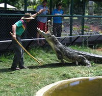 Snakes Downunder Reptile Park and Zoo - Accommodation Rockhampton