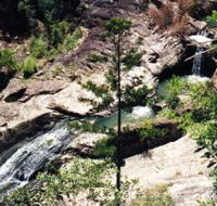 Banksia Track and the Boardwalk - Accommodation Rockhampton