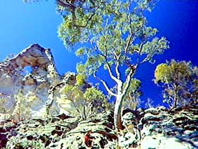 Forestvale QLD Accommodation Rockhampton