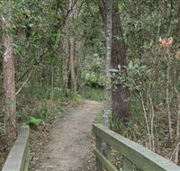 Springwood Conservation Park - Accommodation Rockhampton