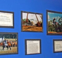 Town Hall Photographic Display - Accommodation Rockhampton