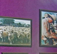 Charleville Photographic Display - Accommodation Rockhampton