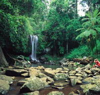 Tamborine National Park - Accommodation Rockhampton