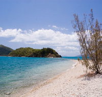 Paddle Bay Track and Campsite - Accommodation Rockhampton