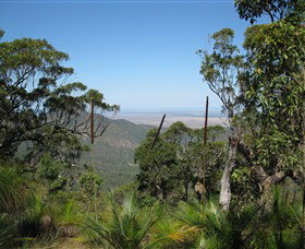 Zamia Walk - Accommodation Rockhampton 0