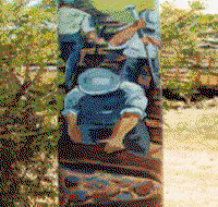 Alpha Murals - Accommodation Rockhampton