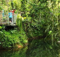 Djiru National Park - Accommodation Rockhampton