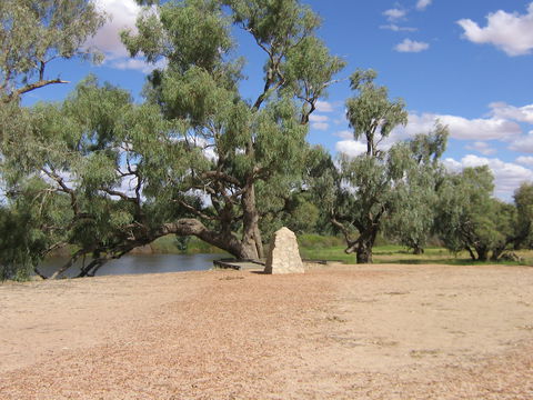 Burke And Wills Dig Tree - Accommodation Rockhampton 11