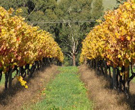 Wild Dog Winery & Restaurant - Accommodation Rockhampton 0