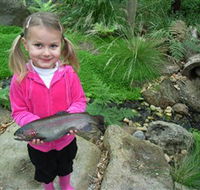 Wild Food Farm  Cafe - Accommodation Rockhampton