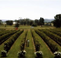 Rochford Wines - Accommodation Rockhampton