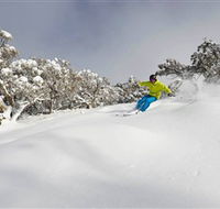 Mt Buller and Mt Stirling Alpine Resort - Accommodation Rockhampton