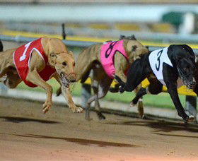 The Beckley Centre - Accommodation Rockhampton 0
