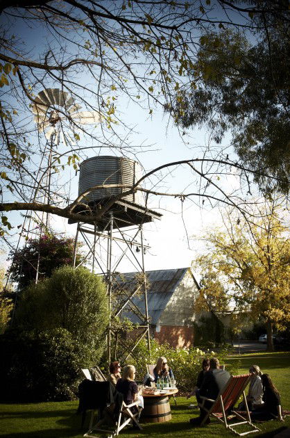 Brown Brothers Milawa Vineyard - Accommodation Rockhampton 5