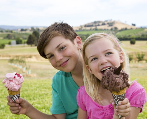 Yarra Valley Chocolaterie & Ice Creamery - Accommodation Rockhampton 6