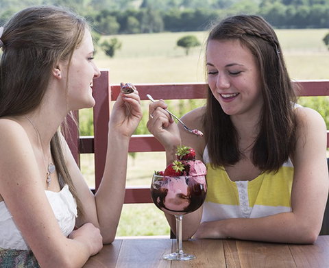 Yarra Valley Chocolaterie & Ice Creamery - Accommodation Rockhampton 8