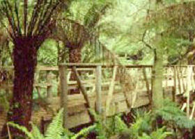 Mount Worth State Park - Accommodation Rockhampton 0