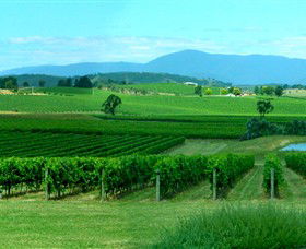 Acacia Ridge Vineyard - Accommodation Rockhampton 0