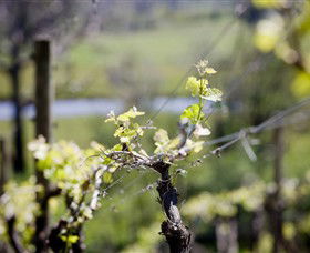 Michelini Wines - Accommodation Rockhampton 0