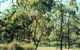 Leaghur State Park - thumb 0