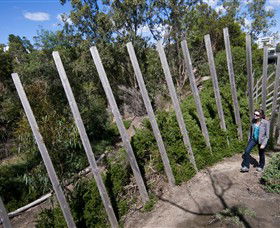 Herring Island Environmental Sculpture Park - Accommodation Rockhampton 0
