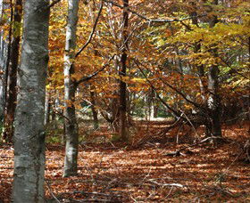 RJ Hamer Arboretum - Accommodation Rockhampton 0