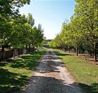 Waybourne Winery - Accommodation Rockhampton