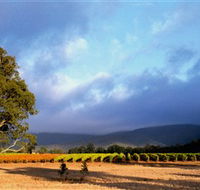 Mount Avoca - Accommodation Rockhampton