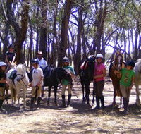 Bellarine Horse Riding Centre - Accommodation Rockhampton