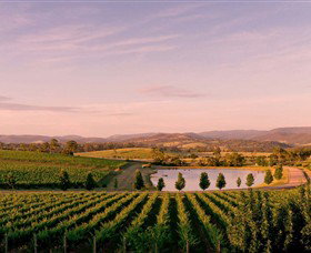 Oakridge Wines - Accommodation Rockhampton 0