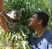 Healesville Sanctuary - Accommodation Rockhampton